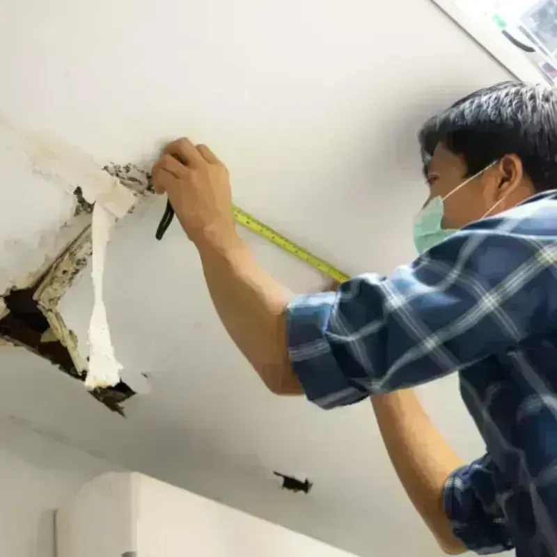 Ceiling And Wall Water Damage in Sainte Genevieve County, MO